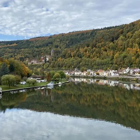 Apartment In Zwingenberg (Baden-Wurttemberg)