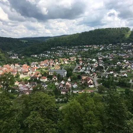 In Apartment Zwingenberg (Baden-Wurttemberg)